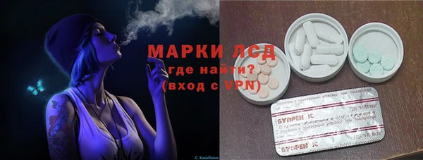 стаф Вязники