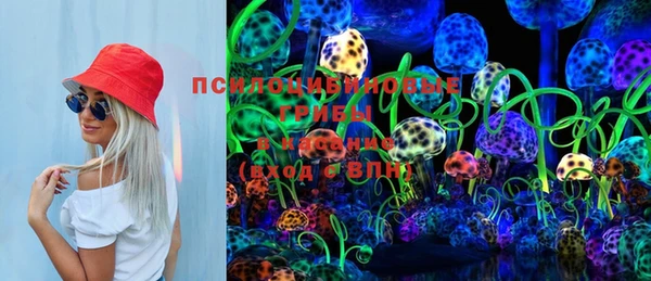 стаф Вязники