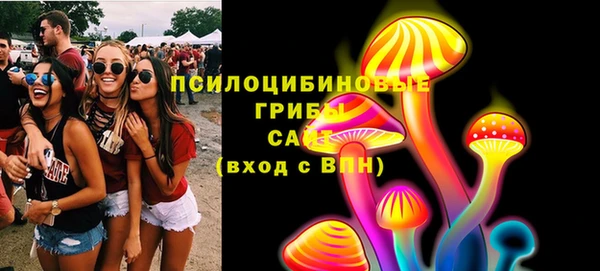 МДПВ Горно-Алтайск