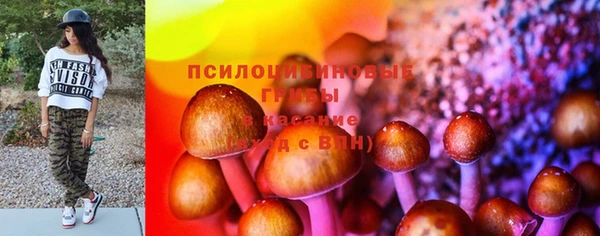 МДПВ Горно-Алтайск