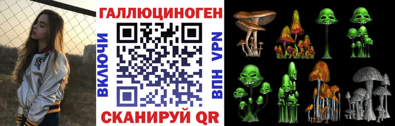 Купить где  Солигалич  Псилоцибиновые грибы Psilocybine cubensis 